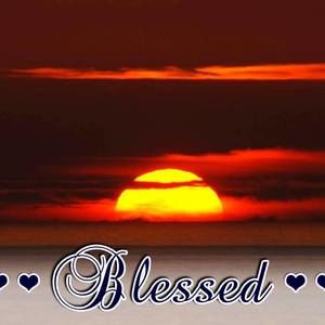 Meet your Posher, Lamar